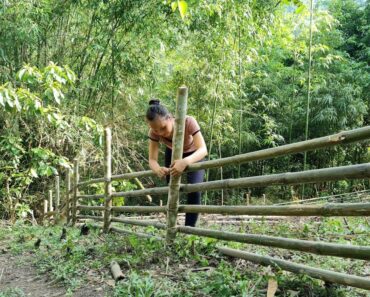Expand The Garden, Build a Bamboo Fence Around The Residence – Survival skills