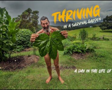 Thriving in a Survival Garden – A Day in the Life of The Weedy Garden