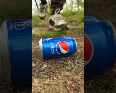 Bushcraft skills #bushcraft  #survival #camping #forest #outdoors