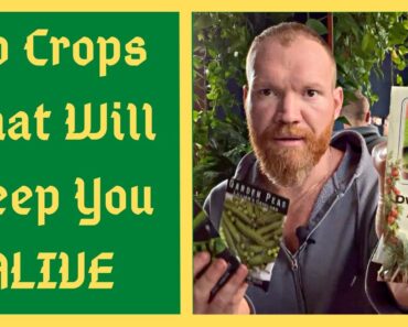 Top 10 Crops You Can Actually Survive On