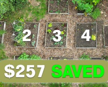 Survive Inflation: Grow These 5 Crops