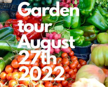 Garden tour and MASSIVE HAUL from our prepper garden!