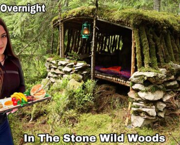 Crafting Survival Bushcraft Shelter: moss roof, wooden frame, stone walls |  Solo overnight in Hut