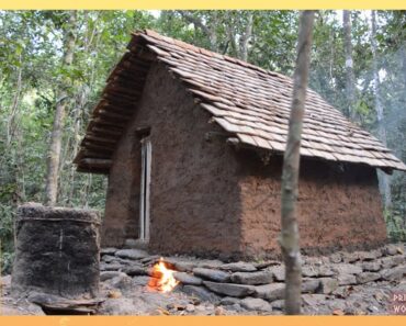 Primitive Technology: Tiled Roof Hut
