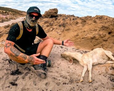 SOLO SURVIVAL – Is It Possible? (No Food No Water No Shelter)
