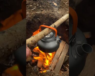 Bushcraft skills in the woods #survival #bushcraft #camping #outdoors #forest