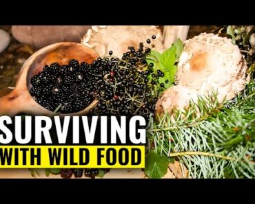 DO THIS and Survive SHTF
