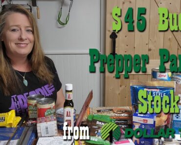 $45 Prepper Pantry Stock Up from Dollar Tree ~ Preparedness