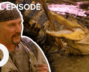 Dave Kills An Alligator Deep In The Louisiana Bayou | Dual Survival FULL EPISODE