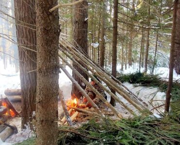 Building Primitive Shelter In Winter Forest, Outdoor Cooking, Survival Skills, Nodya Campfire