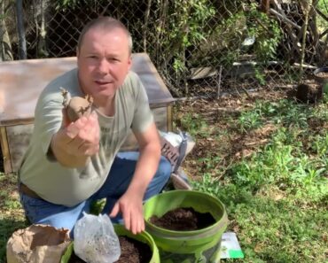 Prepper Garden: Potatoes In A 5 Gallon Bucket. Produce Your Own Food!