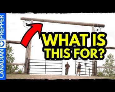 How to Defend Your Property from THE PURGE!