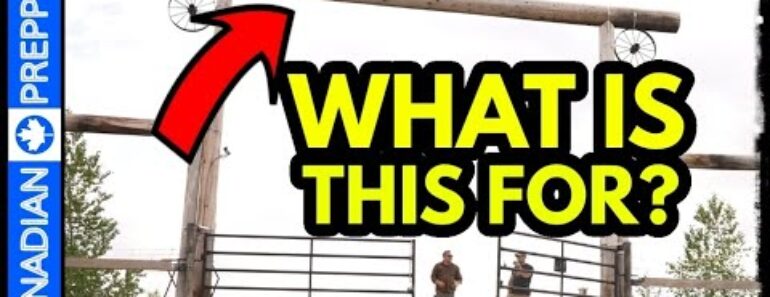 How to Defend Your Property from THE PURGE!