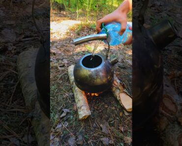 Survival lifehack #bushcraft #camping #outdoors #survival #forest #lifehack #fire