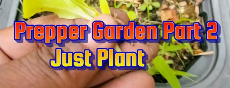 Prepper Garden Part 2 Just Plant #prepper #garden