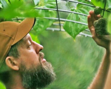 This Incredible Permaculture Garden is a Backyard Survival Food Supply!