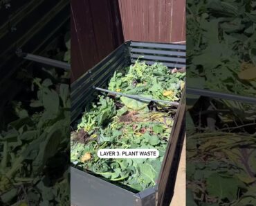 Raised Garden Beds! #Gardening #MicroHomestead #Prepper #Preparedness #GrowWhatYouEat #Homestead