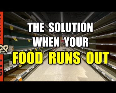 How to Build a Seed Bank: When Your Stored Food Won't Be Enough