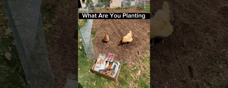 What Are You Planting This Year In Your Homestead Garden? #shorts #prepper #garden #prepared