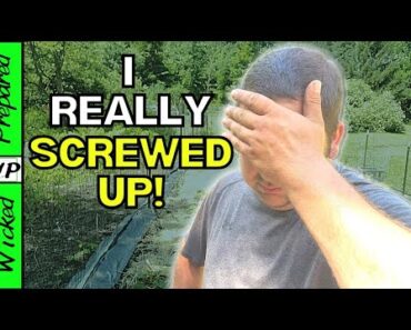 5 HUGE GARDEN MISTAKES! Cabbage Moths, Squash Bugs, Vine Borers {Beginners} {Survivalist Garden}