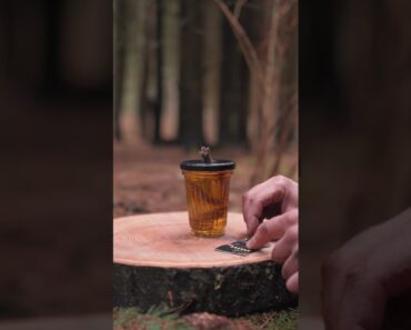 How To Make a SURVIVAL LAMP FIRE DIY