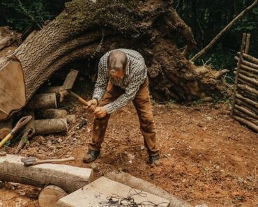 Tree Root Bushcraft Camp: Building a  Survival shelter | Perimeter Walls | Kitchen