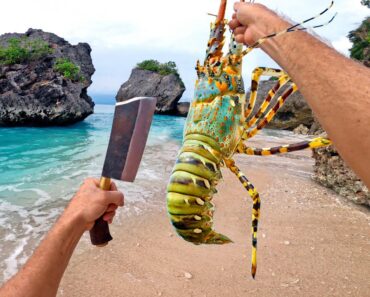 Solo Survival LOBSTER Catch n Cook (No Water, No Food)