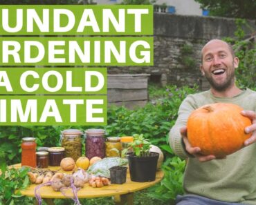 The Easiest, Most Abundant Edible Plants to Grow in a Garden – Gardening in a Cold Climate