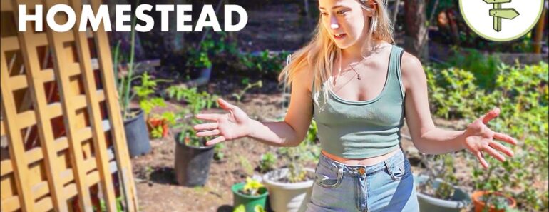 Homesteading Couple Hasn’t Bought Groceries in a Year of Self-Sufficient Living