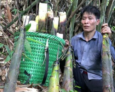 Harvest Bamboo Shoots Goes to the market sell – Gardening – Solo Survival