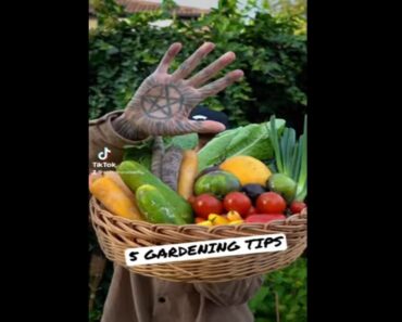 Top 5 gardening hacks! #shorts #short #gardening #gardeningtips #gardening