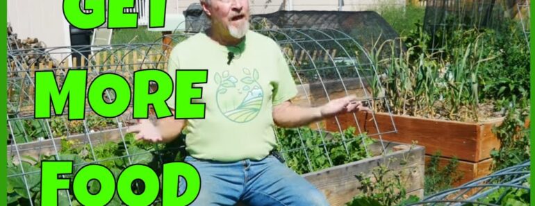 6 Basic Survival Garden Tasks (for Better Harvests)