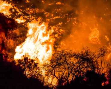 4 wildfire protection tips – Survivopedia