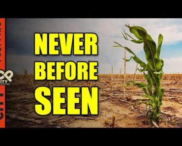 The Coming Food Crisis No One is Discussing