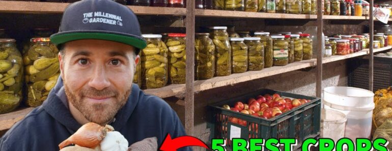 5 BEST Crops To Grow For Food Security And Food Storage 5 BEST Crops To Grow For Food Security And Food Storage