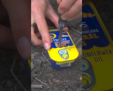 Bushcraft skills #camping #survival #forest #bushcraft #outdoors