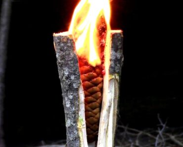 Survival- Emergency Tree Resin Torch