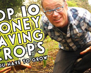 If I Could Only Grow 10 Crops, I'd Choose These…