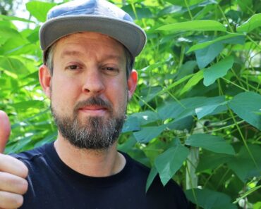 The Secret to CRAZY EASY Florida Gardening (That No One Is Telling You)