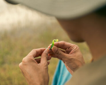 Rethinking Survival Fishing – Survivopedia
