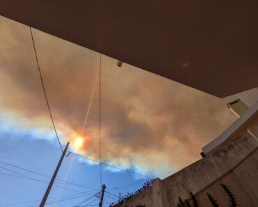 Forest Fire on My Doorstep. Again. Forest Fire on My Doorstep. Again.