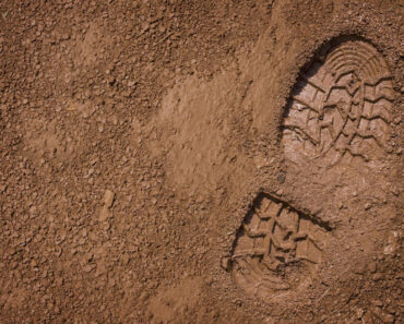 Tracking in the wild – Survivopedia Tracking in the wild – Survivopedia
